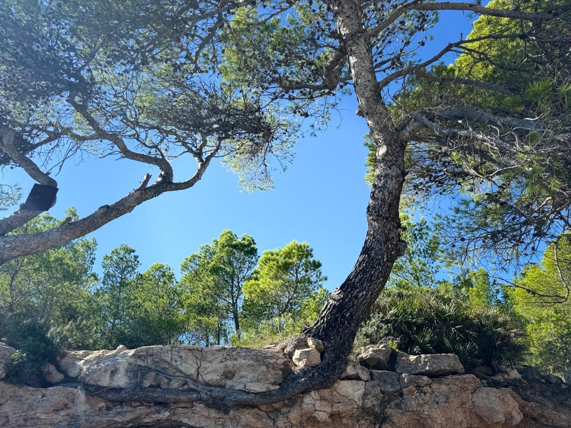Cassa Jessi Villa Tarragona Eksteriør billede
