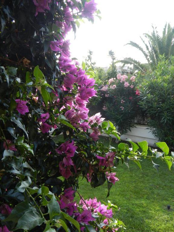 Cassa Jessi Villa Tarragona Eksteriør billede